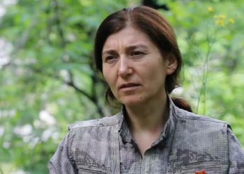 Alkan: Hebûna Kurdan tenê bi şerê gel ê şoreşgerî dikare bê parastin