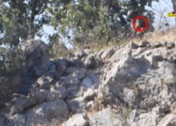 Gerîla TV dîmenê çalakiya sekvaniyê weşand