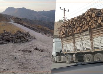 Xwezaya Bakurê Kurdistanê li ber qirkirinê ye