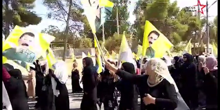 Jinên ciwan ên Tebqa çalakî li darxistin