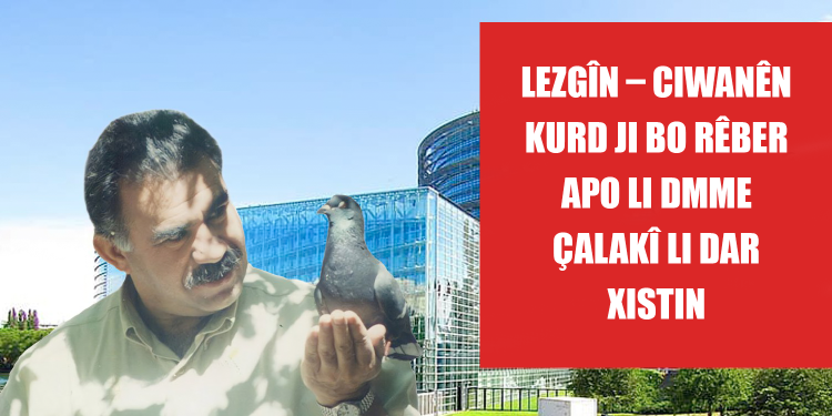 LEZGÎN – Ciwanên Kurd ji bo Rêber APO li DMME çalakî li dar xistin