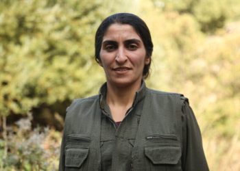 Zîlan Vejîn: Jin bi rêya jineolojiyê hişyar bûn