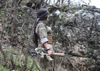 Çalakiyên tolhildanê yên gerîla: 12 dagirker hatin cezakirin