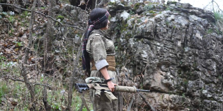 Çalakiyên tolhildanê yên gerîla: 12 dagirker hatin cezakirin