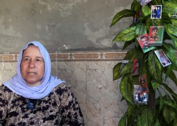 Dayîk Naem: “Heval Vejîn kedekî mezin di Şengalê de da”