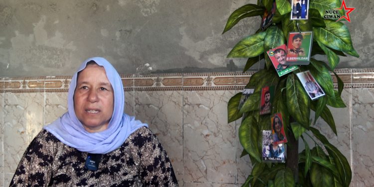 Dayîk Naem: “Heval Vejîn kedekî mezin di Şengalê de da”