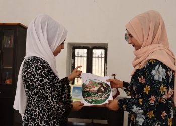 Jinên Ciwan li Tebqayê posterên ji bo şehîd Jîna Emînî daliqandin