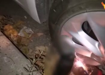 Ji yekîneyên YCWK’ê çalakiyeke nû