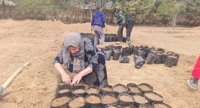 Li dijî êrişên li ser Rojava pêngava ekolojiyê: Wê 4 milyon dar deynin
