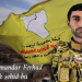 QSD: Fermandar Ferhad Dêrik şehîd bû