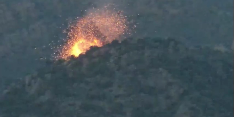 Gerîla TV dîmenê 5 çalakiyan weşand