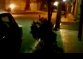 YCWK: Em bang li hemû ciwanên Kurd dikin ku di nava refên YCWK’ê de bên cem hev!