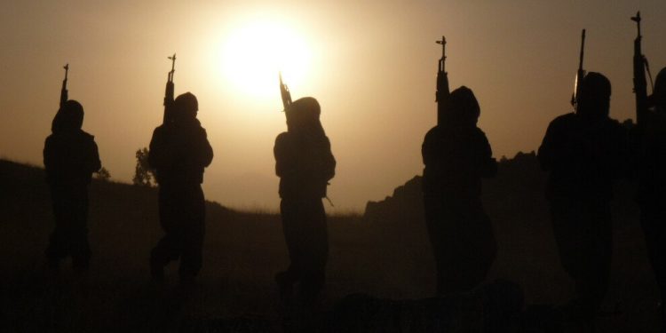 HPG: 5 leşkerên Tirk ên dagirker hatin cezakirin