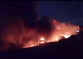 Ji Înîsiyatîfa Jinên Tolhildêr li dijî tecrîd û polîtîkayên zindanan çalakî