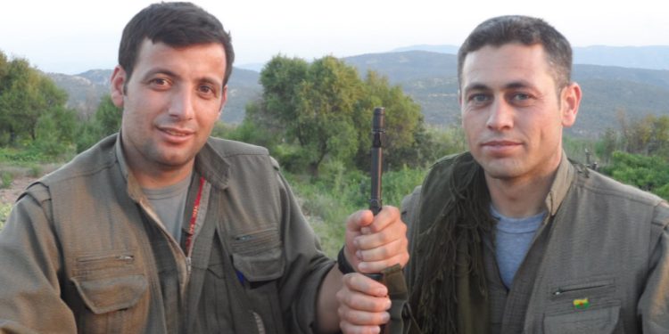 Şahîn Cûdî navê rast li naverokê kirî