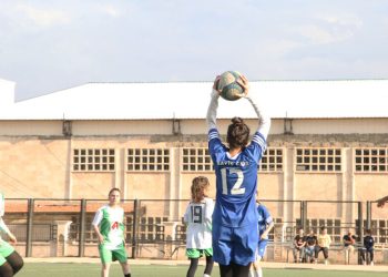 Li Rojava 15 hezar sporvanên ciwan hene