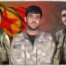 HPG: Sekna wan a mîlîtaniya Apoyî wê ti carî neyê jibîrkirin