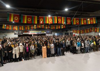 Li Ewropayê Cejna Vejînê: Kurd û Kurdisan wê bi PKK’ê re azad bibe