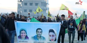 Meşa Dirêj a Ciwanan gihêşt Rimêlan