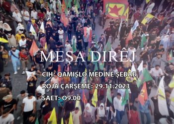 Meşa dirêj a ciwanan ji bo azadîya Rêber Apo û salvegera PKK tê li darxistin