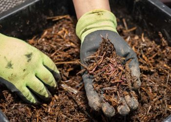 Projeyek din a hilbirandina semada xwezayî