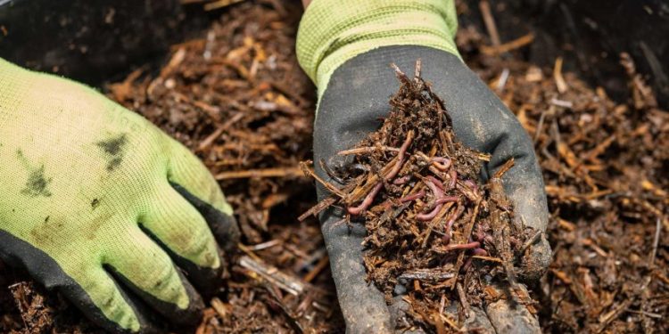 Projeyek din a hilbirandina semada xwezayî