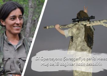 Di Operasyona Şoreşgerî ya şehîd Melsa Muş de,18 dagirker hatin cezakirin