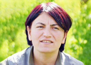 Pêşenga felsefeya ‘Jin, Jiyan, Azadî’