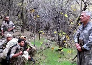 Dîmenên Operasyona Şoreşgreî ya Şehîd Leyla Sorxwîn Beşa Yekemîn