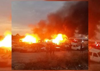 Înîsiyatîfa Jinên Tolhildêr çalakiyên hemwext pêk anî