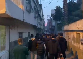 Ciwanên Welatparêz li Edeneyê ji bo Rêber Apo meşek li dar xistin