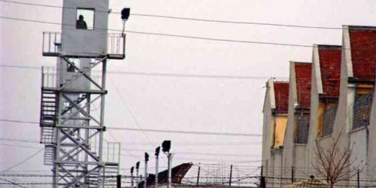 Girtî ji bo ku sewqî Îmraliyê bên kirin, serlêdanê dikin