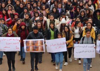 Li Şehba jî gel bi hêrs daket qadan