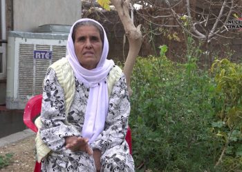 Dayîka Şehîd Dilovan İşlek: Dewleta Tirk nikare PKK xilas bike