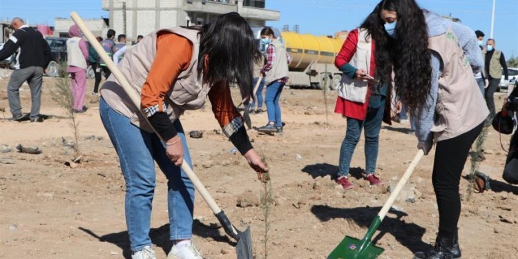 Li Hesekê 500 dar hatin çandin