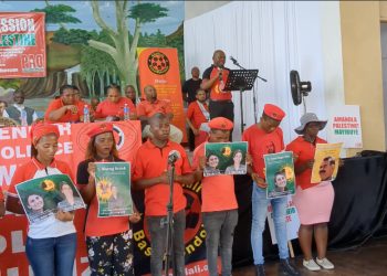 Ciwanên Efrîkayî banga azadiya Rêber APO kirin