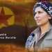 HPG’ê Sarya Erez Dersim bi rêzdarî bi bîr anî