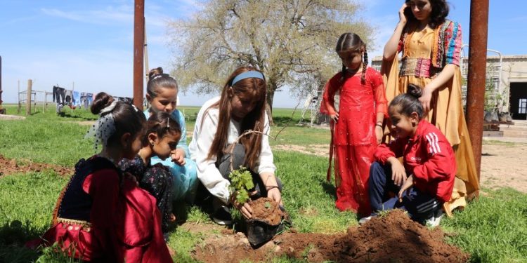 Zarokên Qamişlo 100 darên fêkî çandin
