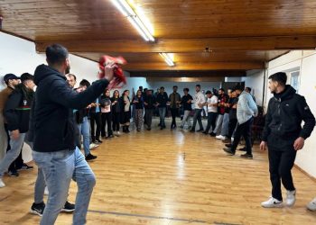 Festîvala ciwanan li Kolnê