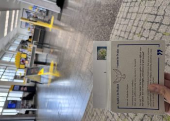 Ciwanên Zurîhê beşdarî kampanya nameya ji bo Rêber Apo bûn