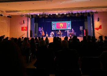 Duho li Viyanayê şahiya çand û ciwanan hate lidarxistin