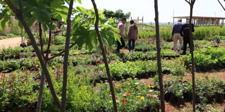Besê Erzîncan: Têkoşîna li dijî mêr, hunerek e