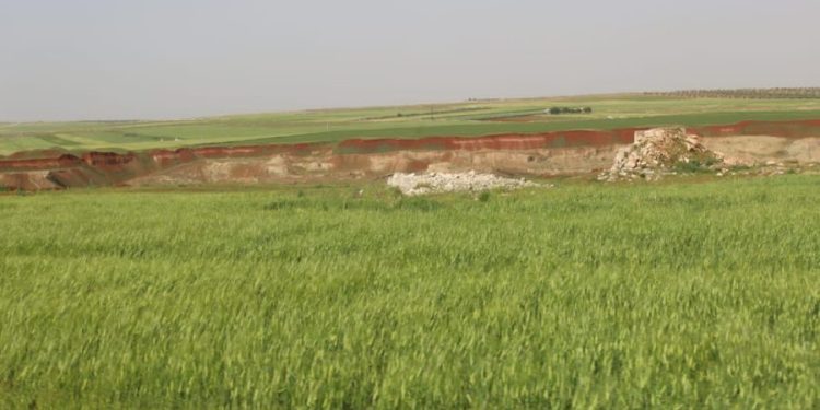 Besê Erzîncan: Têkoşîna li dijî mêr, hunerek e