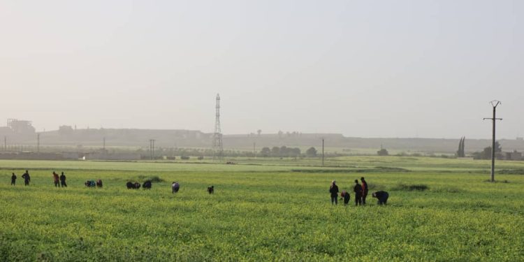 Besê Erzîncan: Têkoşîna li dijî mêr, hunerek e