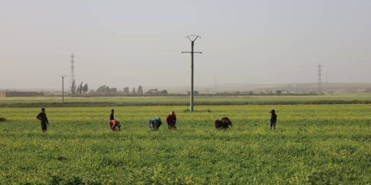 Besê Erzîncan: Têkoşîna li dijî mêr, hunerek e