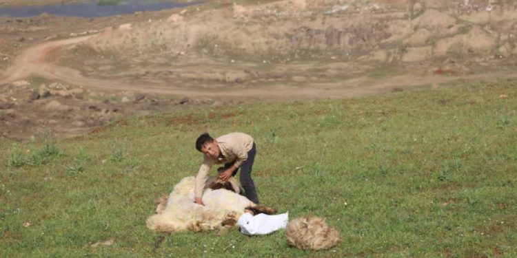 Besê Erzîncan: Têkoşîna li dijî mêr, hunerek e