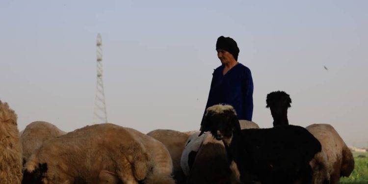 Besê Erzîncan: Têkoşîna li dijî mêr, hunerek e