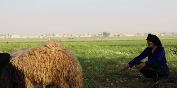 Besê Erzîncan: Têkoşîna li dijî mêr, hunerek e