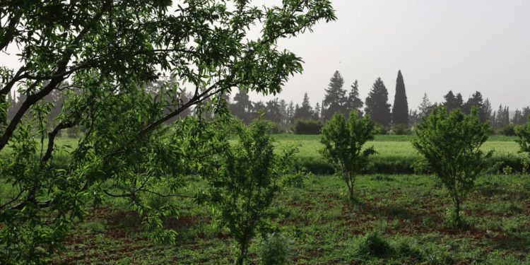 Besê Erzîncan: Têkoşîna li dijî mêr, hunerek e