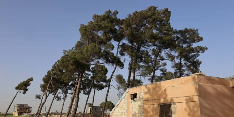 Besê Erzîncan: Têkoşîna li dijî mêr, hunerek e